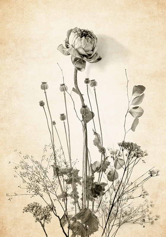 Poster bloem boeket op beige achtergrond - TenStickers