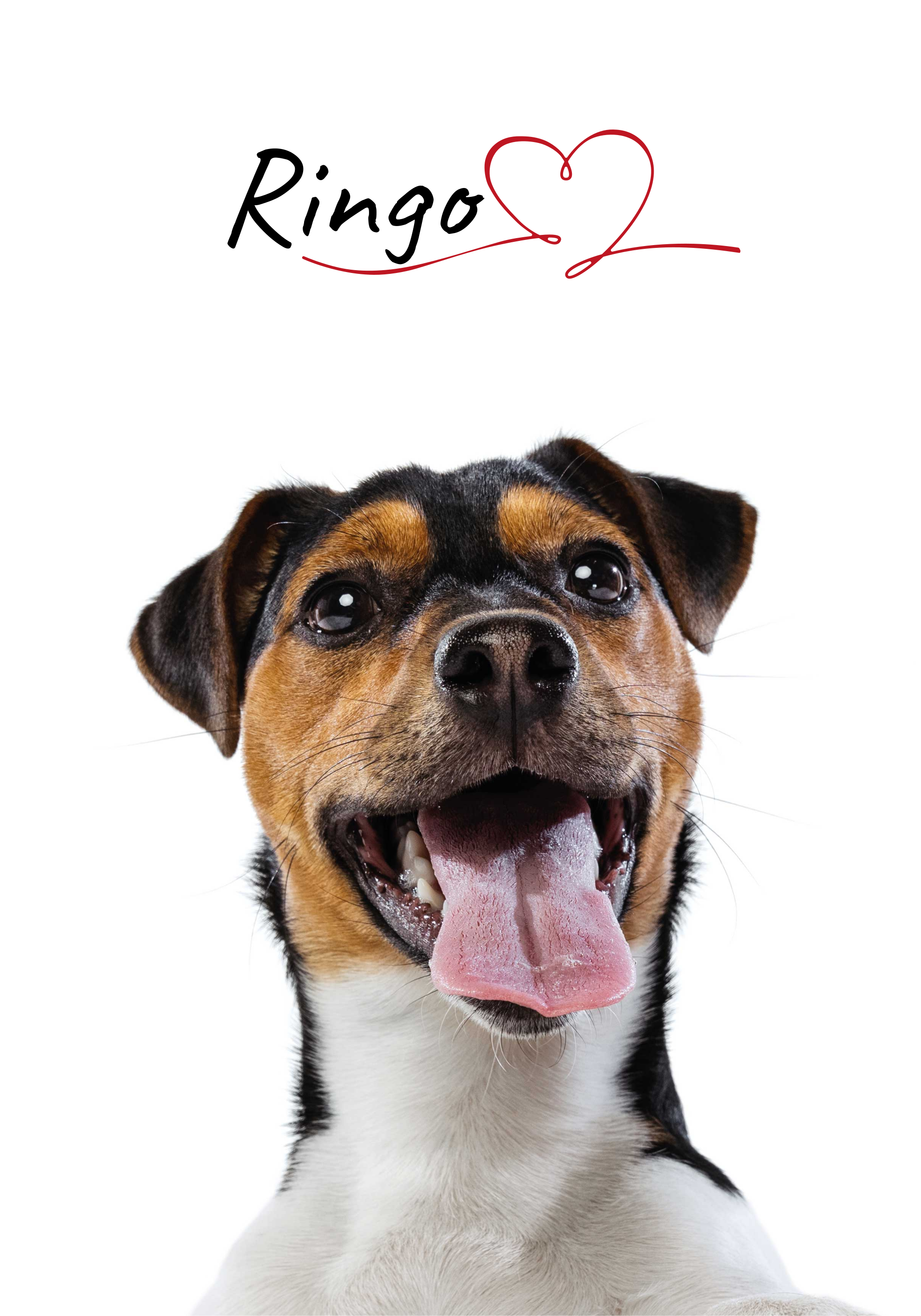 Aangepaste hondenliefde honden poster - TenStickers