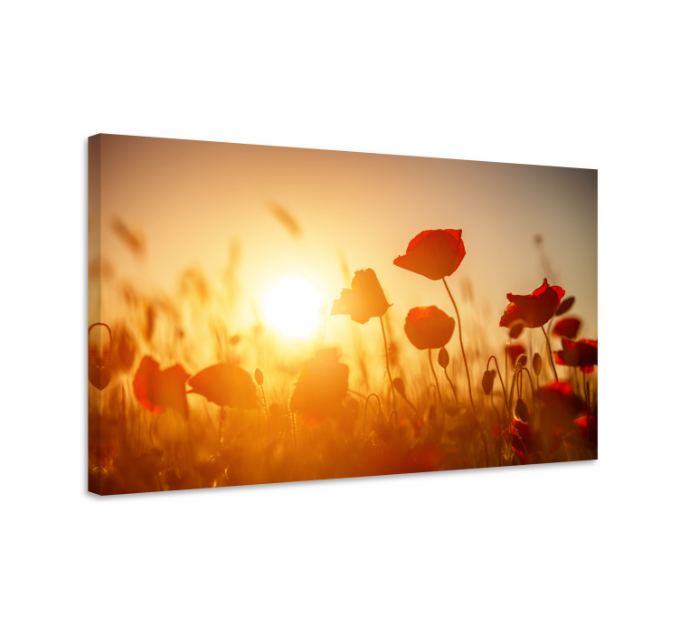 Canvas schilderij bloemen en planten klaproosveld gloed - TenStickers