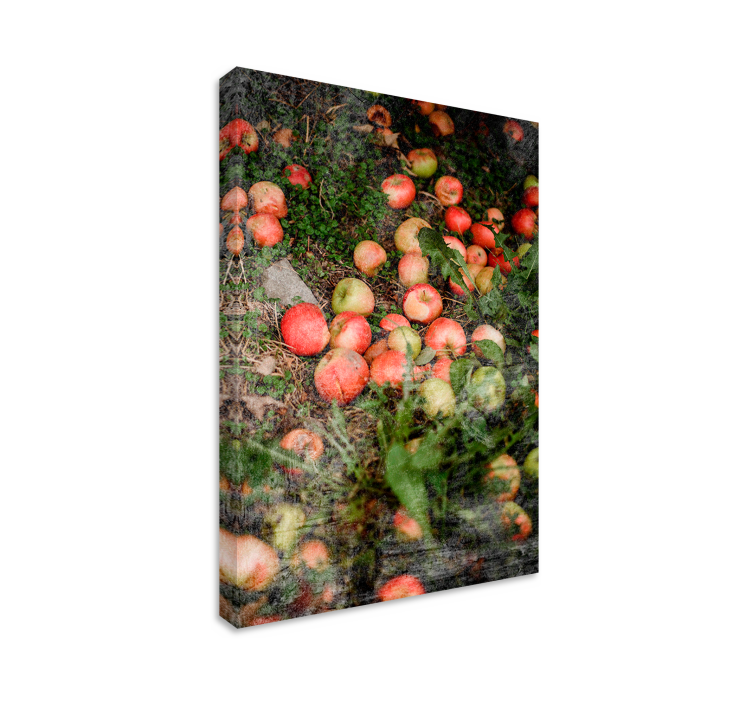 Canvas stilleven en fruit vallende appels - TenStickers