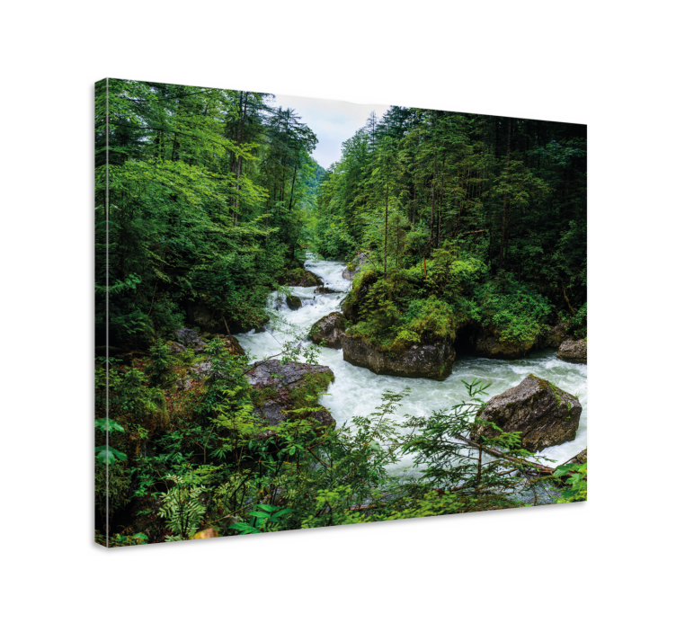 Rustig rivierlandschap Canvas landschap - TenStickers