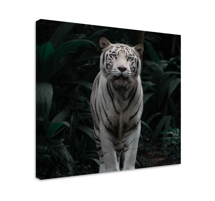Canvas schilderij dieren majestueuze witte tijger - TenStickers