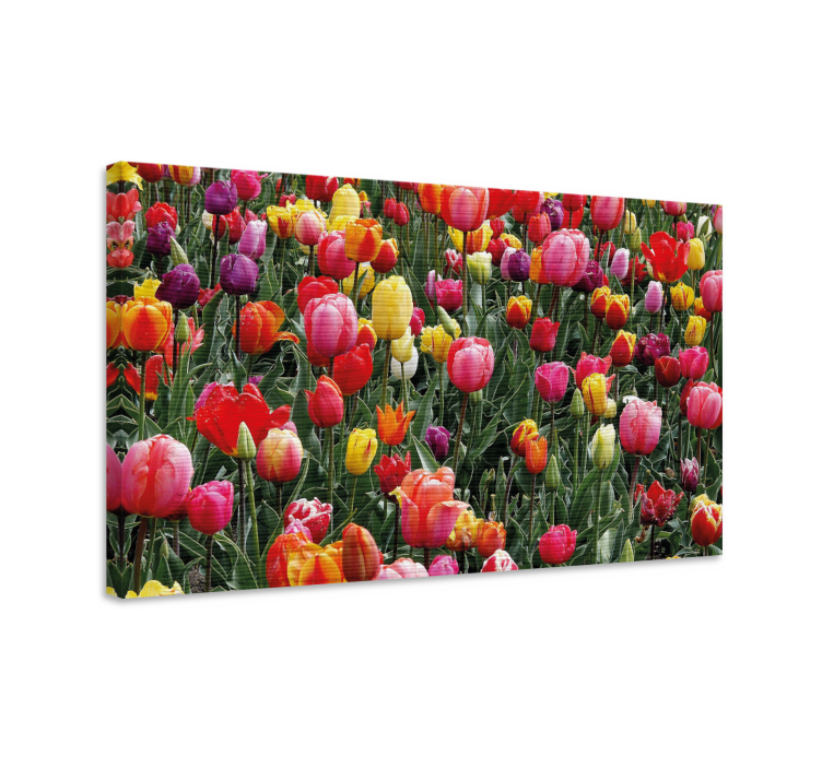 Canvas schilderij bloemen en planten kleurrijke tulp bloemen - TenStickers