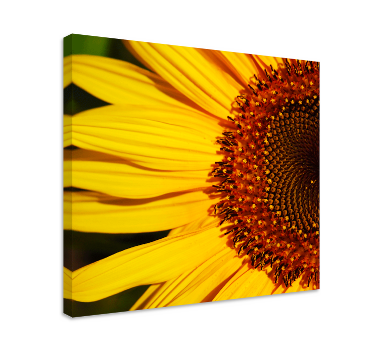 Canvas schilderij bloemen en planten zonnebloemdetails - TenStickers