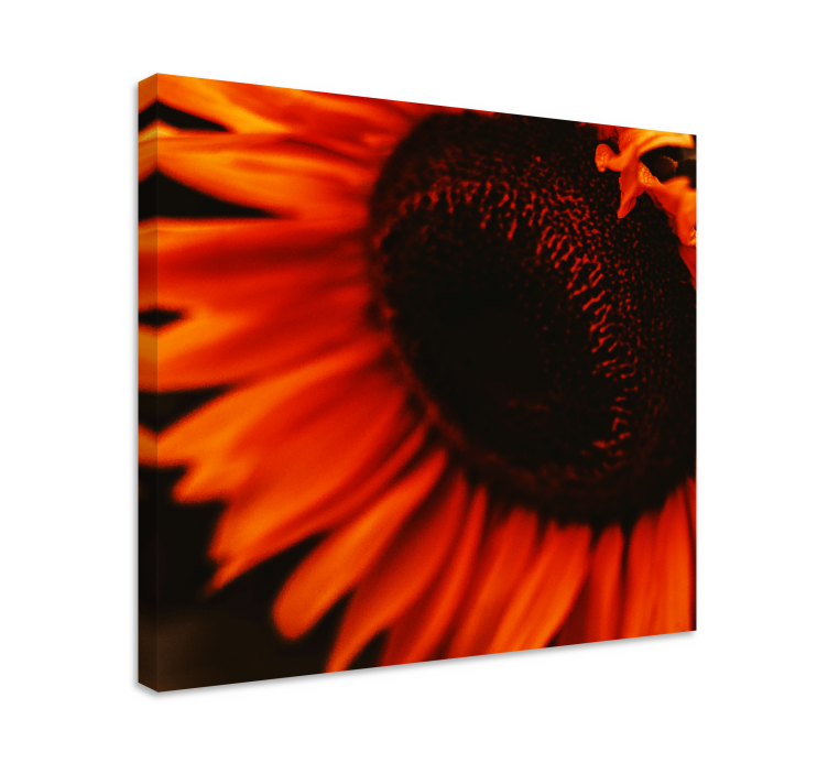Canvas schilderij bloemen en planten stralende zonnebloem - TenStickers