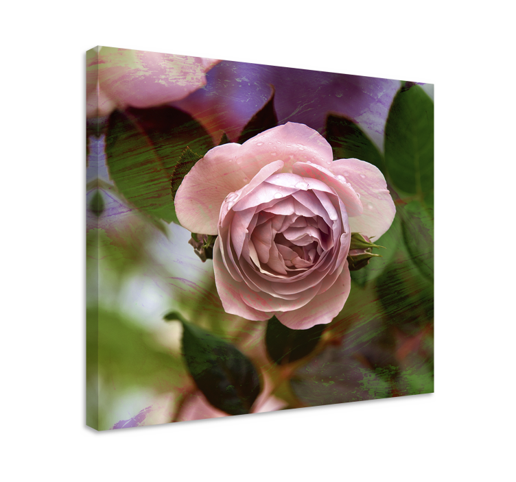 Canvas schilderij bloemen en planten roze rozenbloesem - TenStickers
