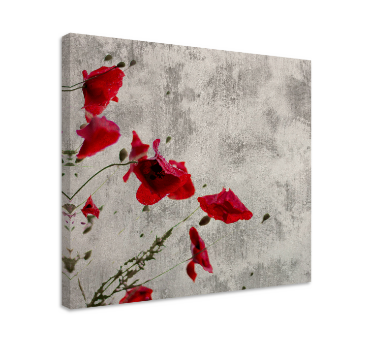 Canvas schilderij bloemen en planten rode klaproos bloei - TenStickers