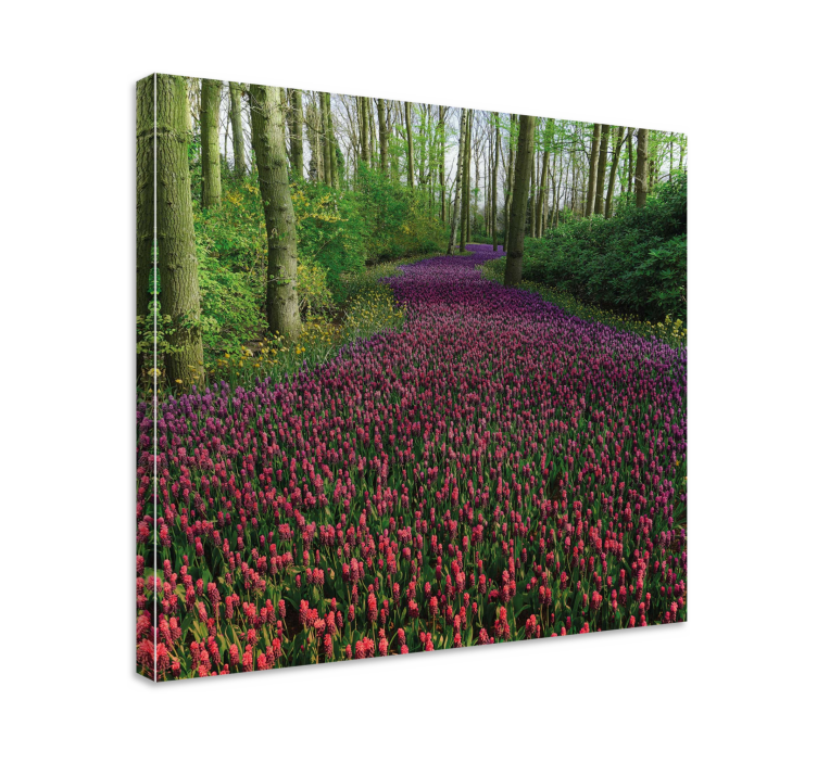 Canvas schilderij bloemen en planten bloeiende bloemenweg - TenStickers