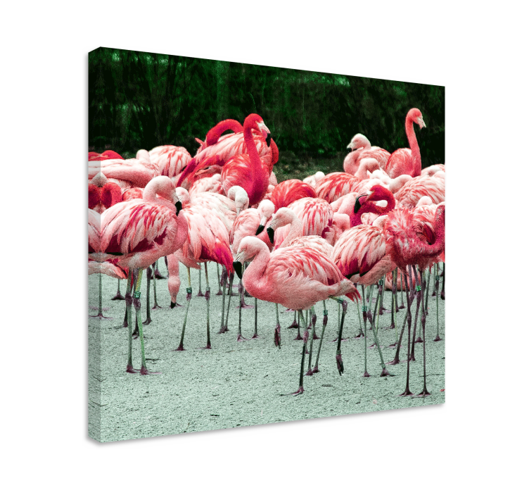 Canvas schilderij hond flamingo vloot - TenStickers