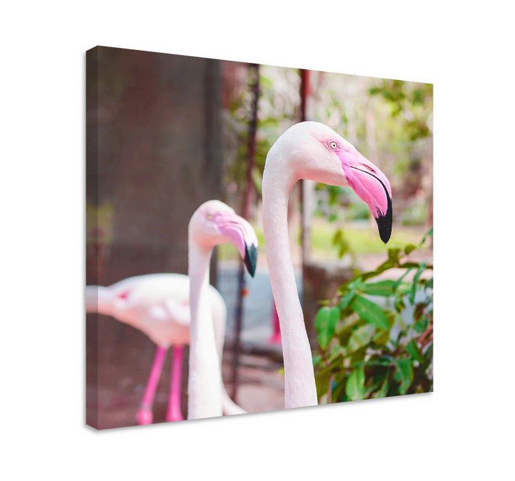 Canvas schilderij vogels elegante flamingo's samen - TenStickers