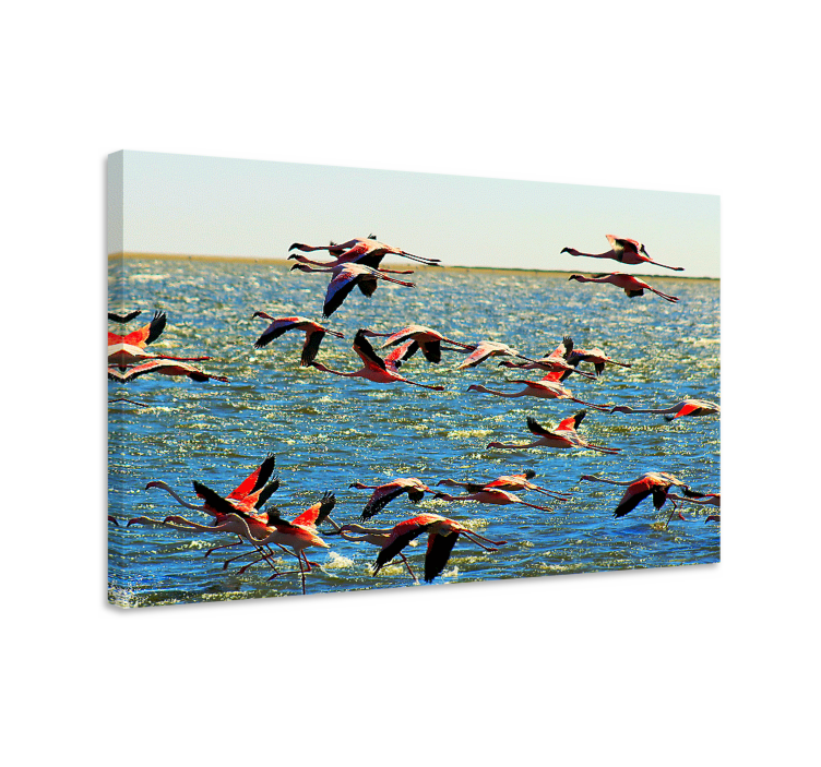 Canvas schilderij vogels flamingo's in vlucht - TenStickers