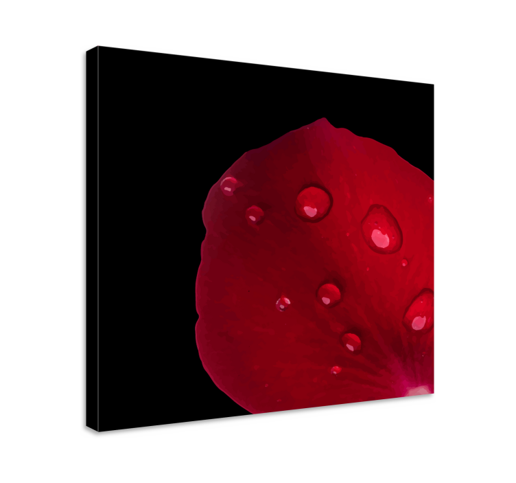 Canvas schilderij bloemen en planten rozenblad detail - TenStickers