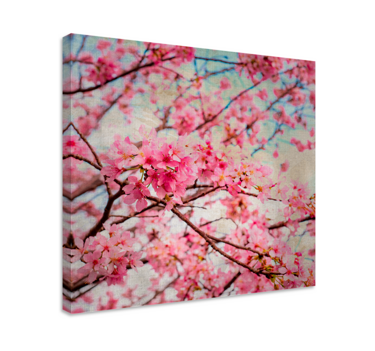 Canvas schilderij bloemen en planten kersenbloesem bloesems - TenStickers