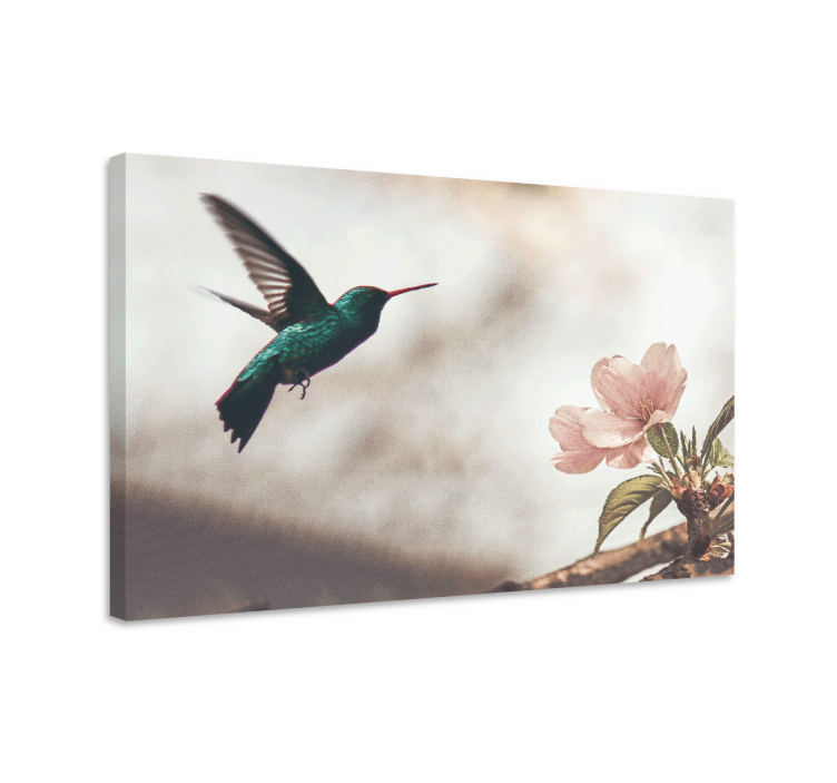 Canvas schilderij vogels kolibrie en bloesems - TenStickers