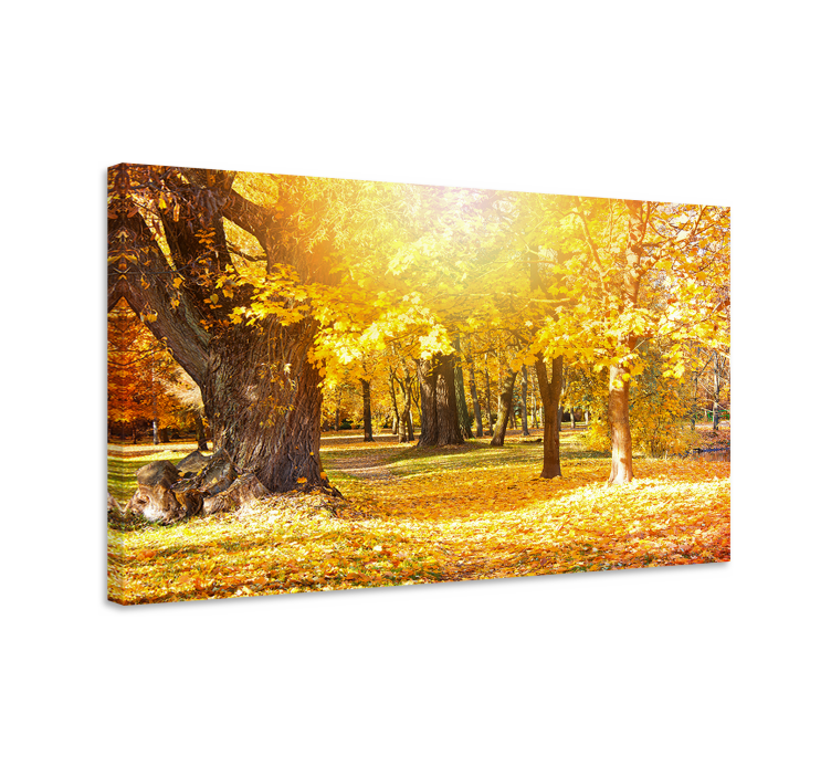 Canvas bomen herfst bospad - TenStickers