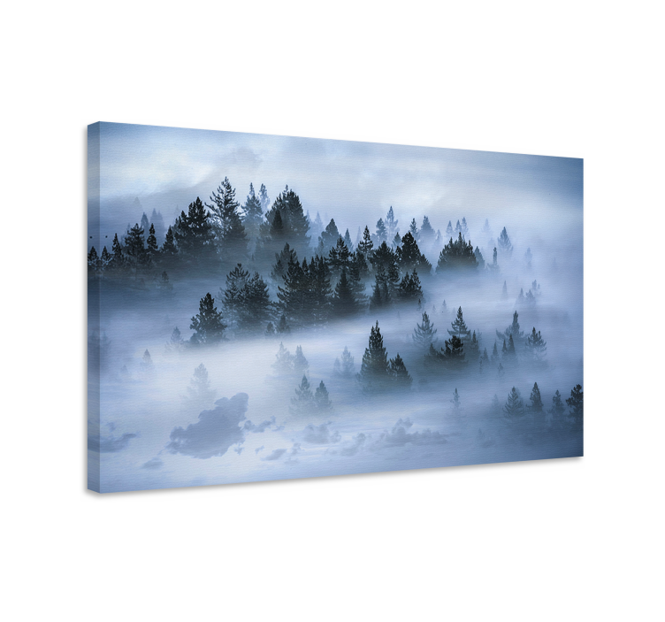 Canvas landschap mistige dennenbos - TenStickers