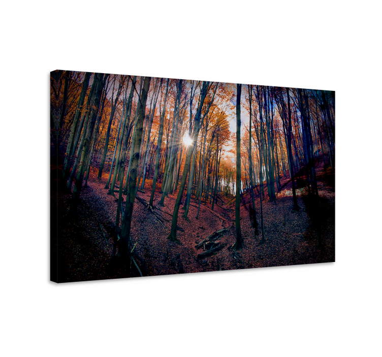 Canvas landschap herfstbos glans - TenStickers