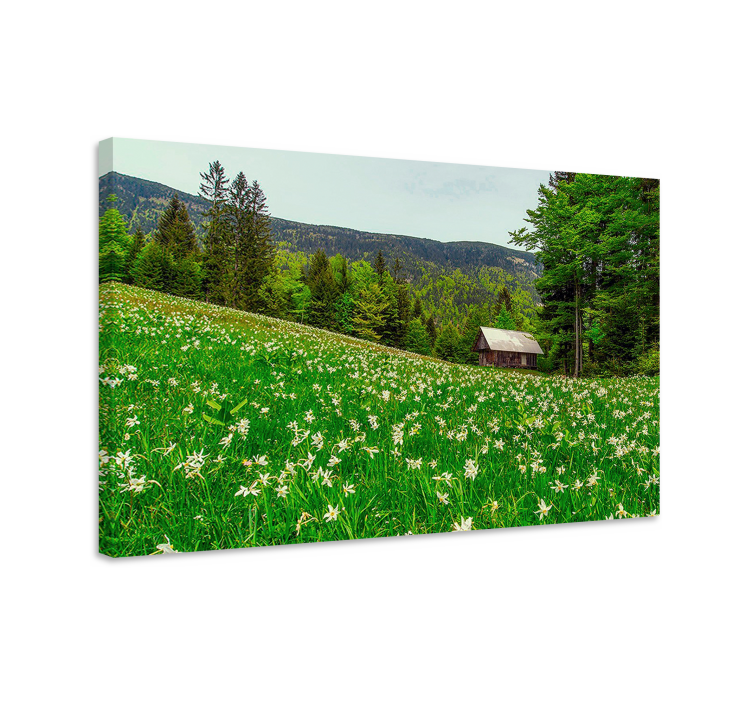 Canvas landschap charmante plattelands cabin - TenStickers