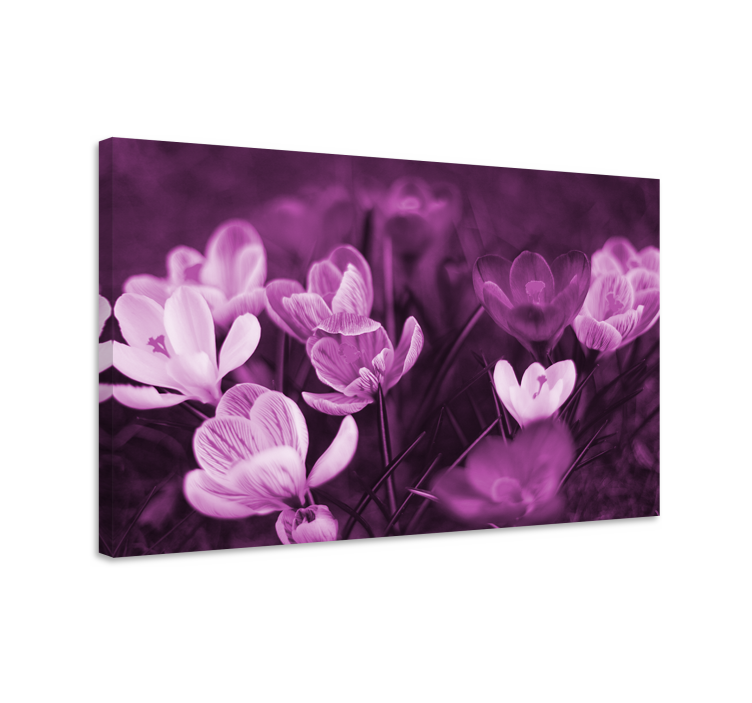 Canvas schilderij bloemen en planten bloeiende bloemdisplay - TenStickers