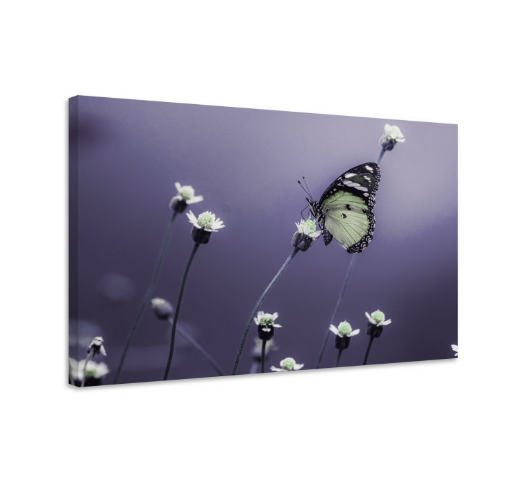 Canvas schilderij vlinder vlinder tussen bloemen - TenStickers