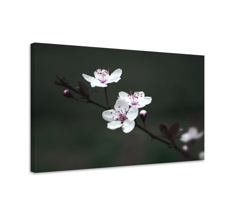 Canvas schilderij bloemen en planten delicate bloesems - TenStickers