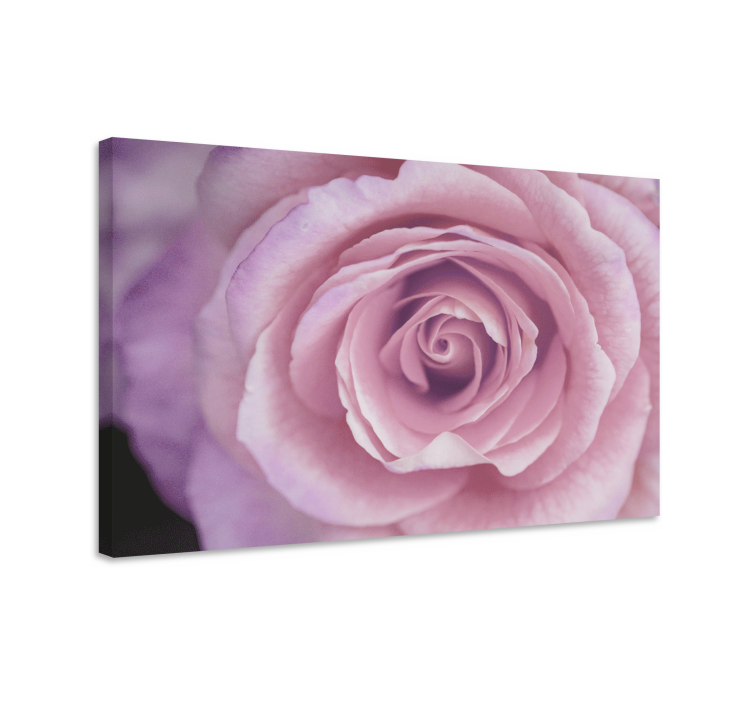 Canvas schilderij bloemen en planten roze bloemdetail - TenStickers