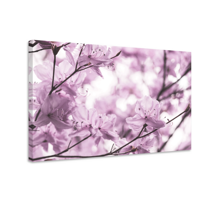 Canvas schilderij bloemen en planten delicate bloemen - TenStickers