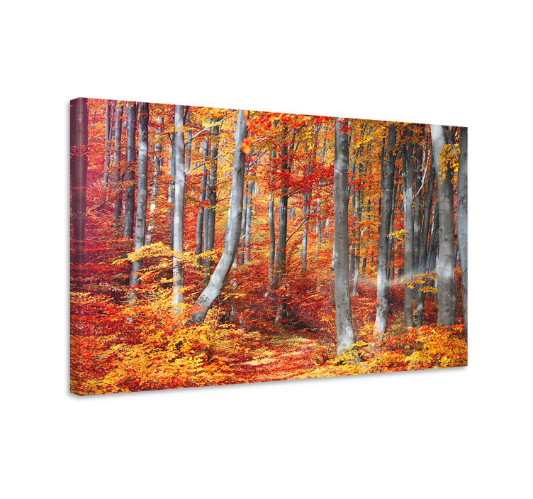 Canvas landschap herfstbospaden - TenStickers