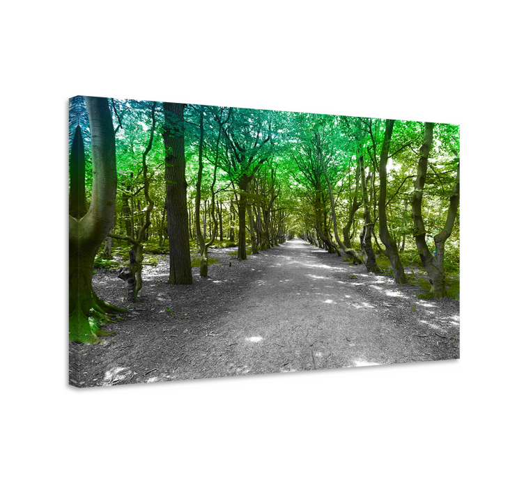 Canvas bomen groene bosweg - TenStickers
