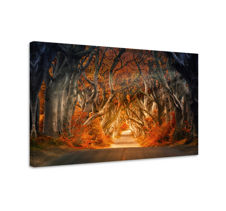 Canvas landschap mysterieuze herfstpad - TenStickers