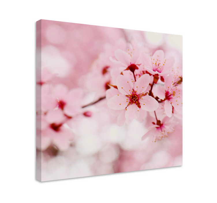 Canvas schilderijen bloemen Roze bloei fotografie kunst - TenStickers