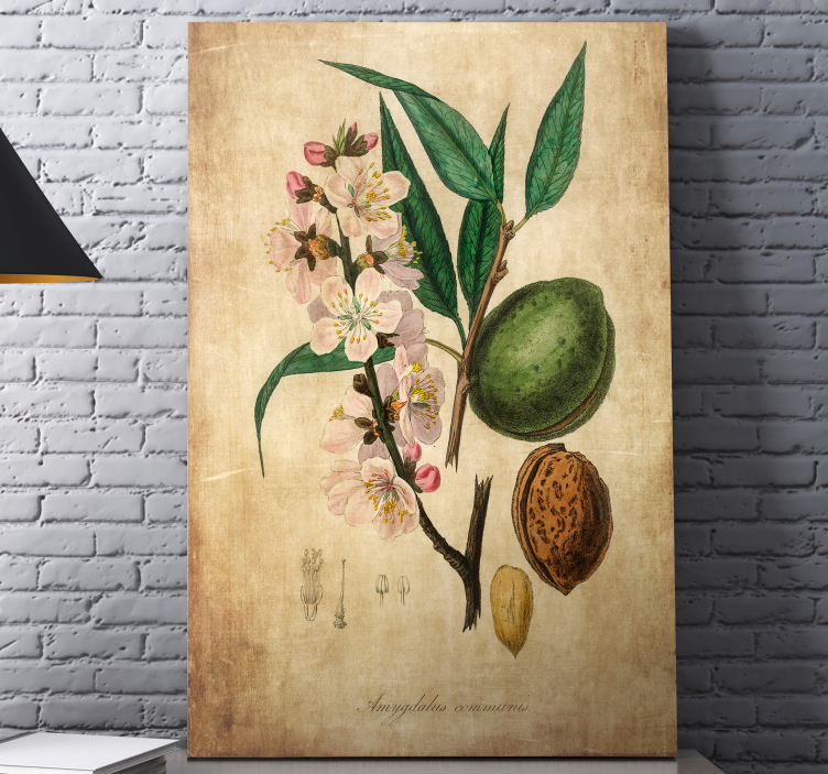 Botanische illustratie Canvas schilderij bloemen en planten - TenStickers