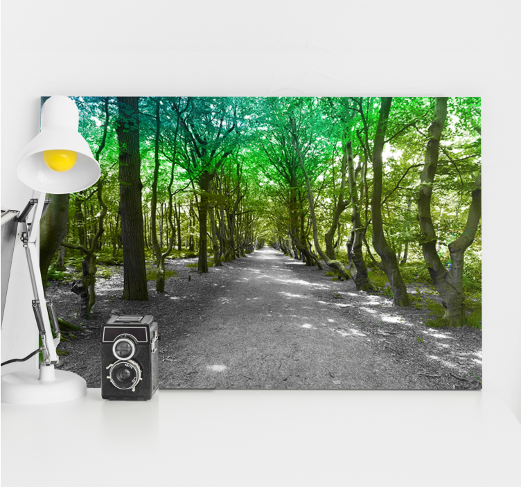 Canvas bomen groene bosweg - TenStickers