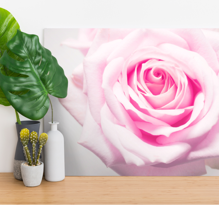 Canvas schilderij bloemen en planten blush rozenbloem - TenStickers