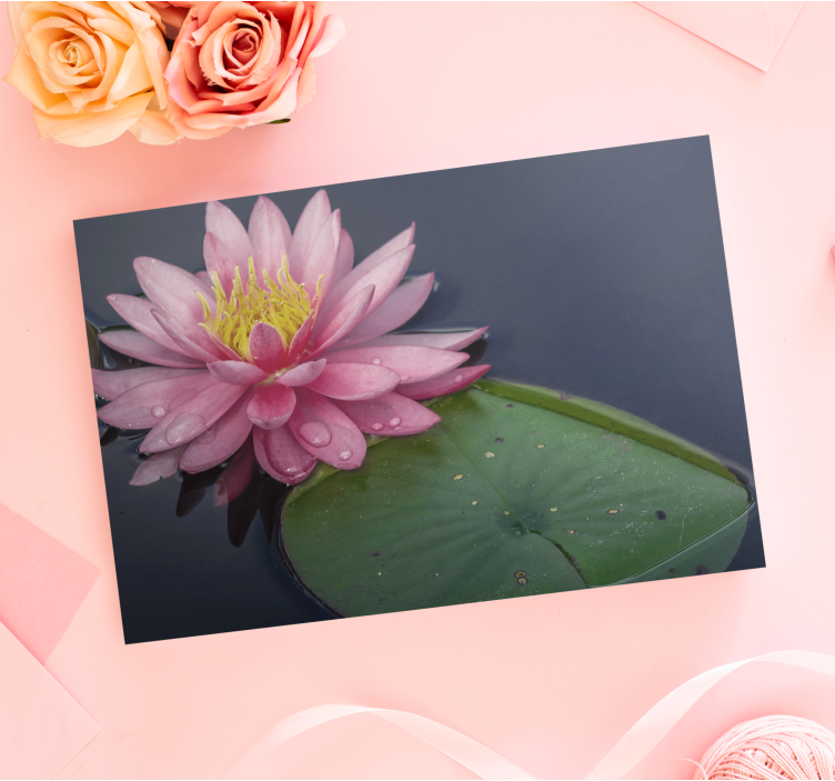 Canvas schilderij bloemen en planten waterlelie bloem - TenStickers