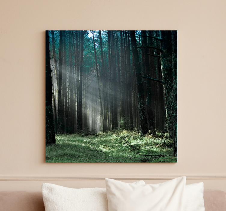 Mystiek boslicht Canvas bomen - TenStickers