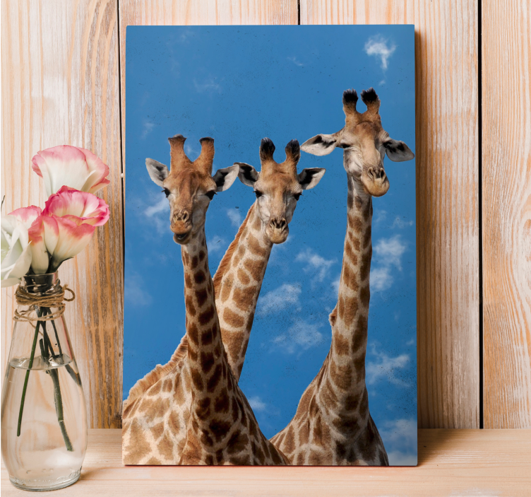 Portret van een giraffen trio Canvas schilderij dieren - TenStickers