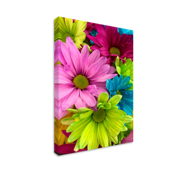 Kleurrijke bloemen canvas - TenStickers