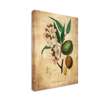 Botanische illustratie Canvas schilderij bloemen en planten - TenStickers