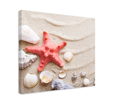 Zeester op strand canvas - TenStickers