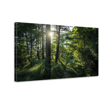 Canvas landschap verlichte boswandeling - TenStickers