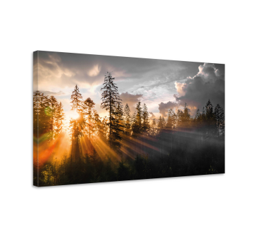 Canvas natuur landschap Bos met mist en zon - TenStickers