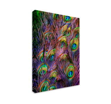 Canvas schilderij vogels Pauwenveer - TenStickers