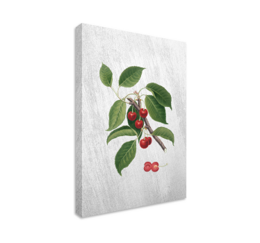 Canvas stilleven en fruit kersentak detail - TenStickers