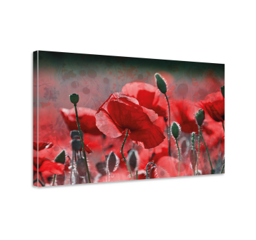 Canvas bloemen Rood en groen papaverveld - TenStickers