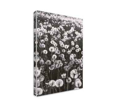 Canvas schilderij bloemen en planten paardebloem bloesems - TenStickers
