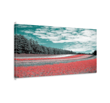Canvas landschap vibrant bloemenveld - TenStickers