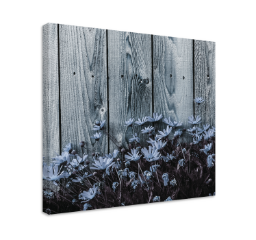 Canvas bloemen Madeliefjebloem op grijze houten plank - TenStickers