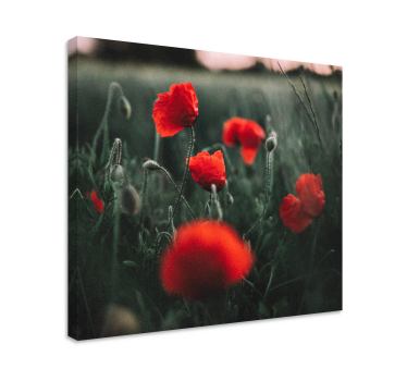 Canvas schilderij bloemen en planten vivid klaprozen - TenStickers