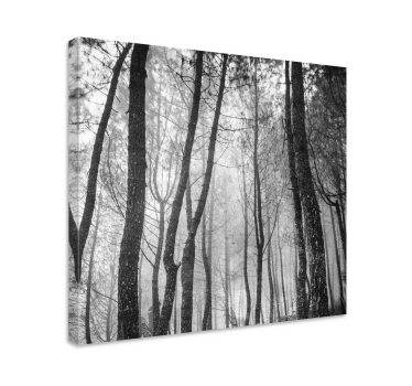 Canvas natuur landschap Mistig bos van bovenaf - TenStickers